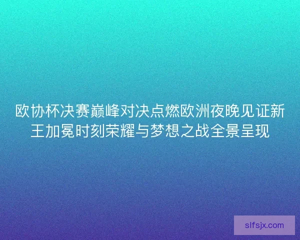 欧协杯决赛巅峰对决点燃欧洲夜晚见证新王加冕时刻荣耀与梦想之战全景呈现