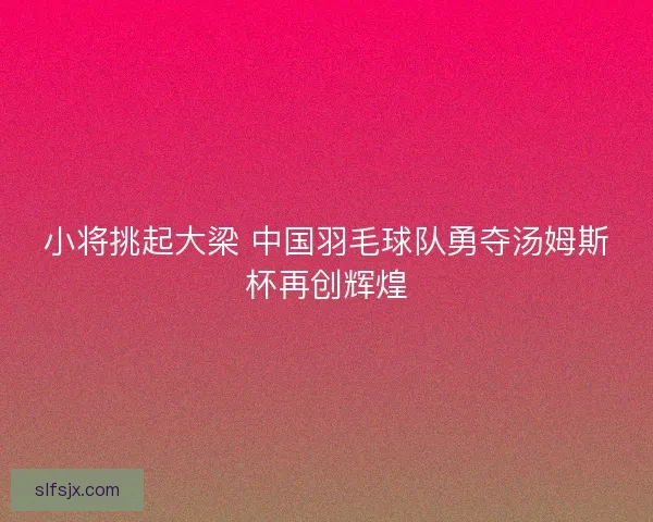 小将挑起大梁 中国羽毛球队勇夺汤姆斯杯再创辉煌