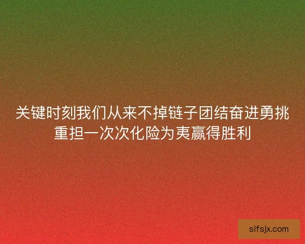 关键时刻我们从来不掉链子团结奋进勇挑重担一次次化险为夷赢得胜利