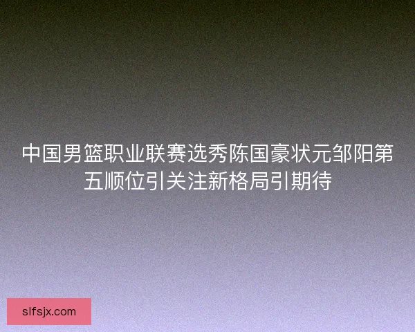 中国男篮职业联赛选秀陈国豪状元邹阳第五顺位引关注新格局引期待