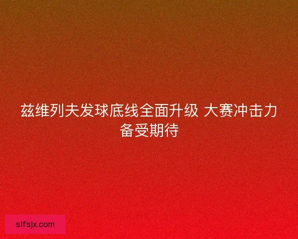兹维列夫发球底线全面升级 大赛冲击力备受期待